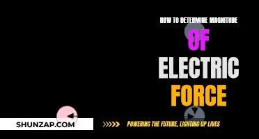 Understanding Electric Force: Calculating the Magnitude