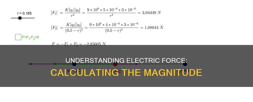 how to determine magnitude of electric force