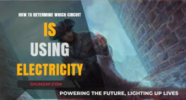 Sleuthing Power Draws: Identifying Electricity-Consuming Circuits