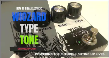 Mastering the Electric Wizard Tone
