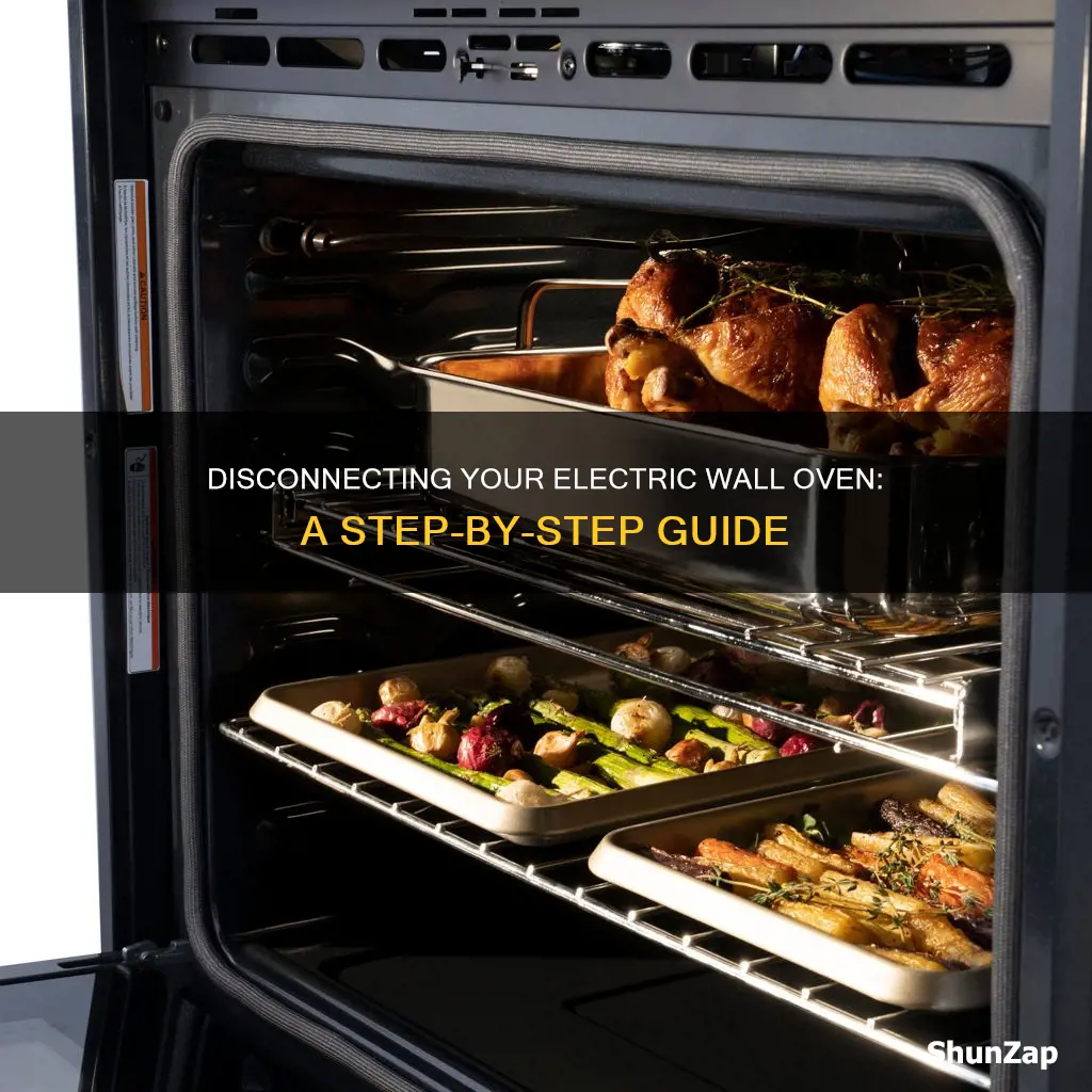 how to disconnect an electric wall oven