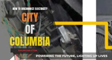 Disconnecting Electricity in Columbia: A Step-by-Step Guide