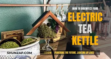 Clean Your Electric Kettle: A Step-by-Step Guide
