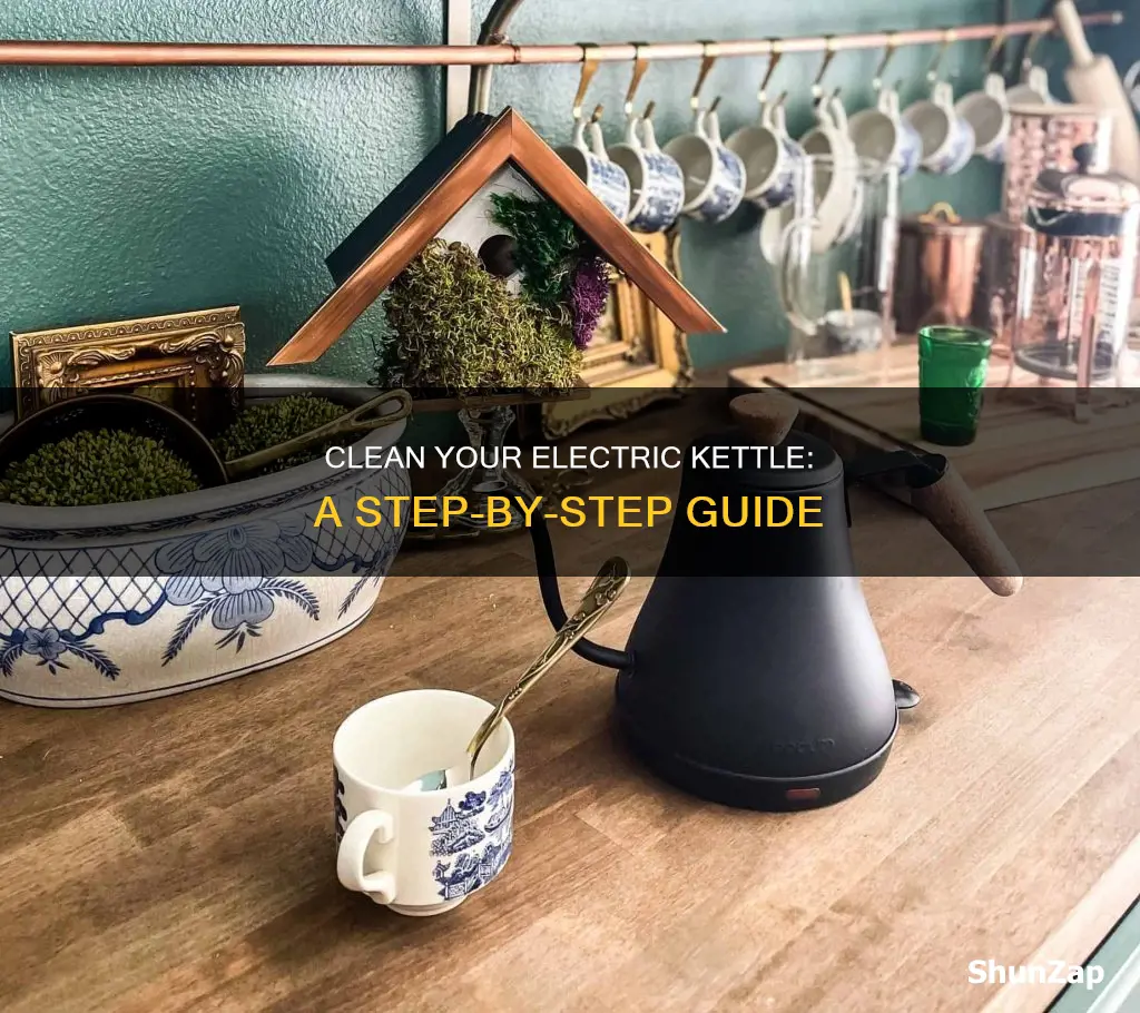 how to disenfect your electric tea kettle
