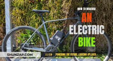 Concealing Your Electric Bike: Creative Camouflage Techniques