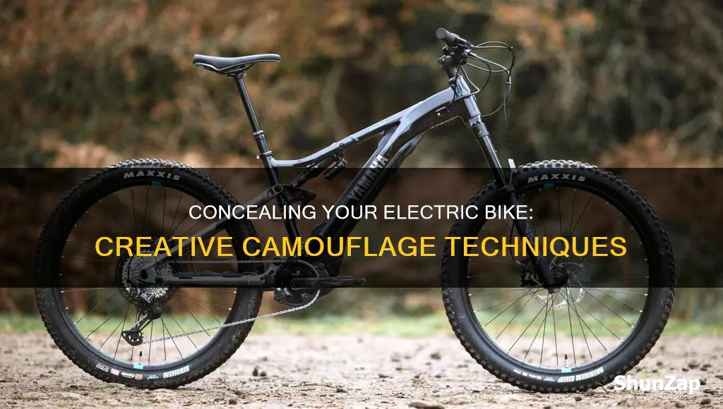 how to disguise an electric bike