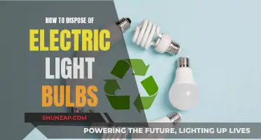 Disposing of Electric Light Bulbs: A Step-by-Step Guide