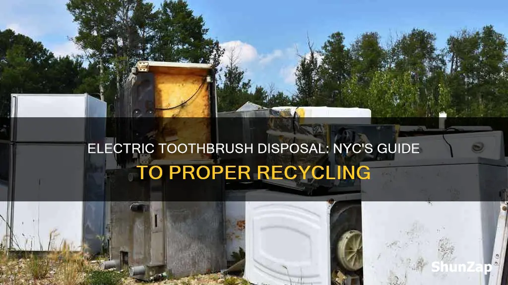 how to dispose of electric toothbrush nyc