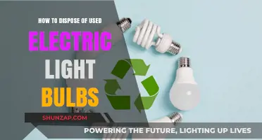 Eco-Friendly Disposal: A Guide for Used Electric Light Bulbs