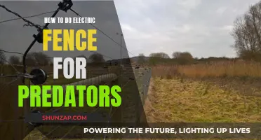 Electric Fencing: Keeping Predators Away