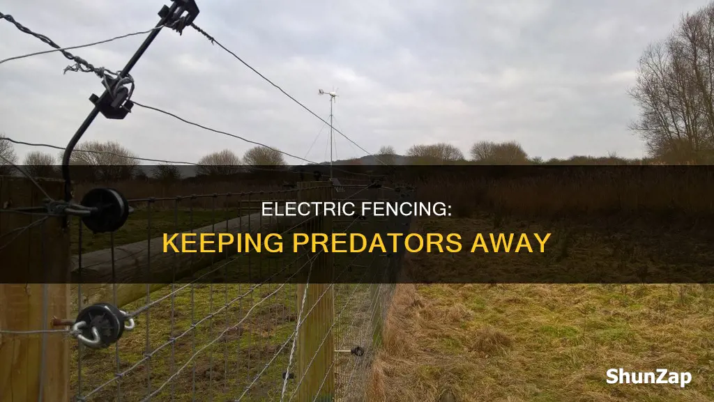 how to do electric fence for predators