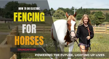 Electric Fencing for Horses: A Guide to Keeping Your Herd Safe