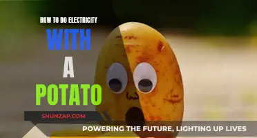 Powering Devices with Potatoes: A Fun Science Experiment
