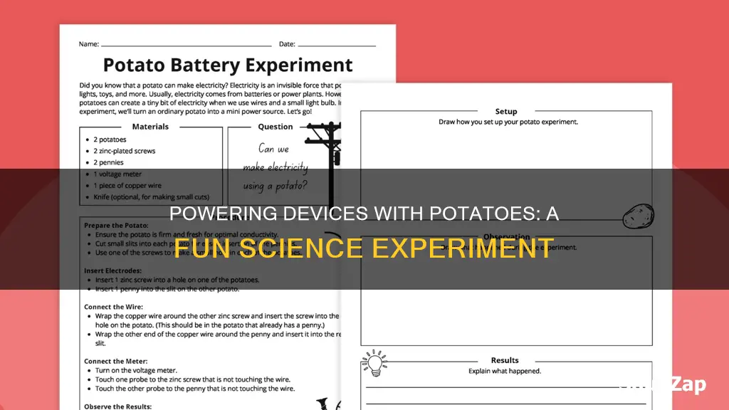 how to do electricity with a potato