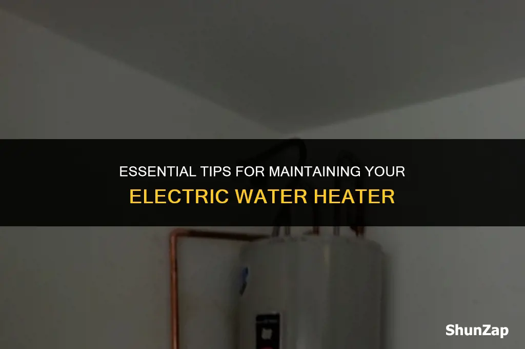 how to do maintenance on electric water heater