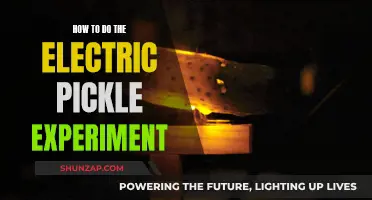Electric Pickle Experiment: A Fun Science Project