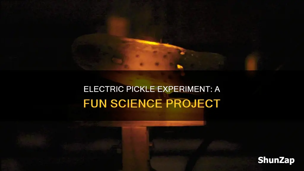 how to do the electric pickle experiment