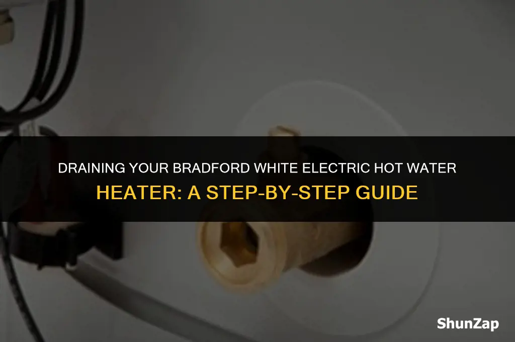 how to drain a bradford white electric hot water heater