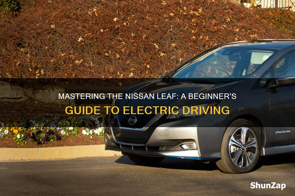 how to drive a nissan leaf electric car