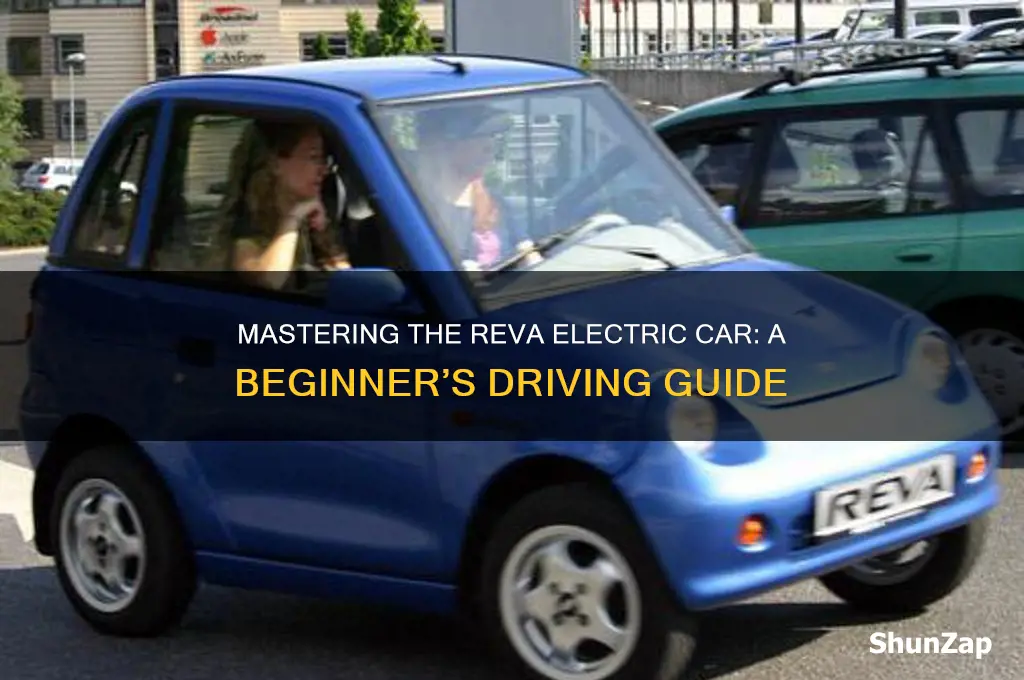 how to drive reva electric car