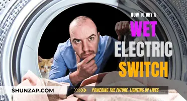 Electric Switch Wet? Quick-Dry Tips and Tricks