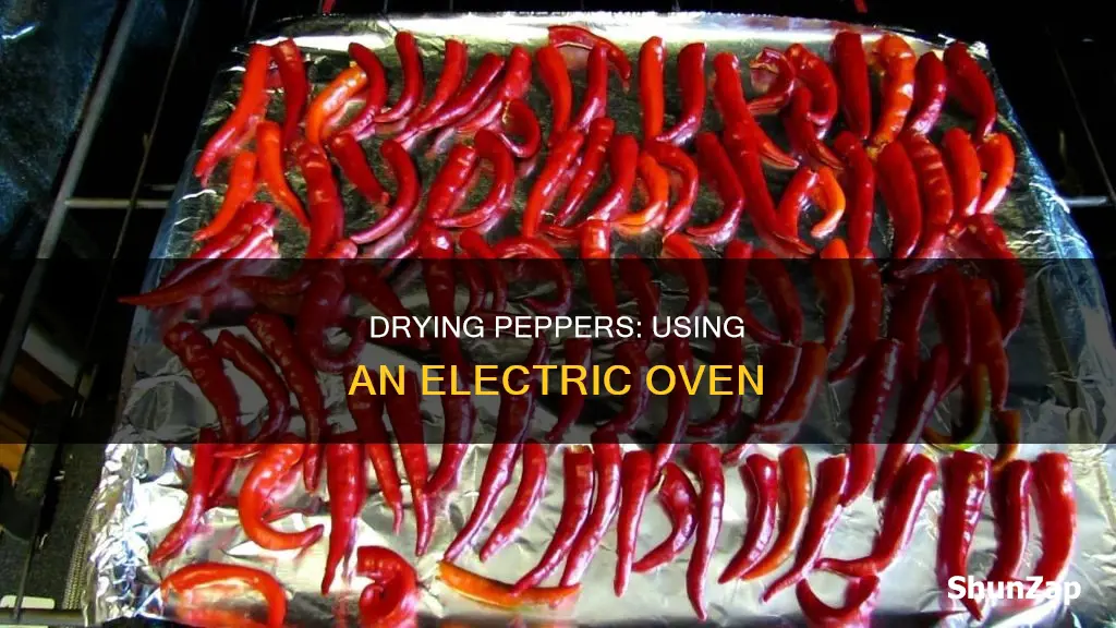 how to dry peppers in electric oven