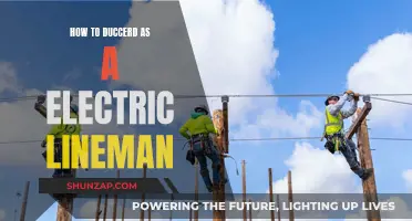 Mastering the Art of Electric Lineman Work