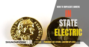 Duplicating Aureus: State Electric's Guide