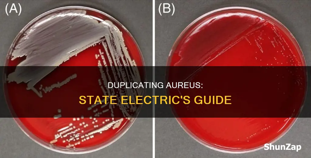 how to duplicate aureus in state electric