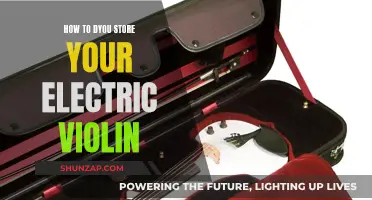 The Best Way to Store Your Electric Violin