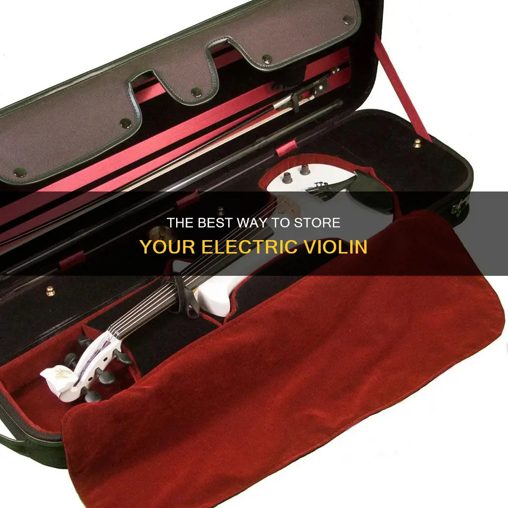 how to dyou store your electric violin