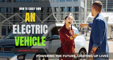 Unlocking the Future: A Beginner's Guide to Electric Vehicle Ownership