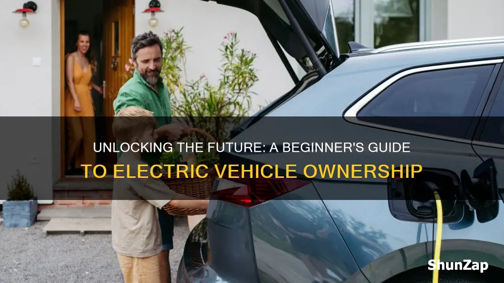 how to easily own an electric vehicle