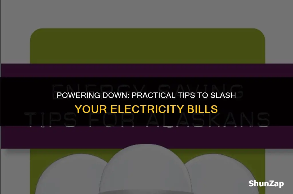 how to economize electricity use