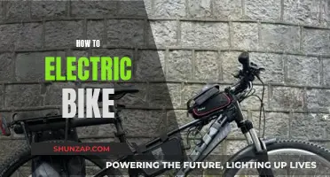 Electric Biking Basics: A Beginner's Guide to E-Biking