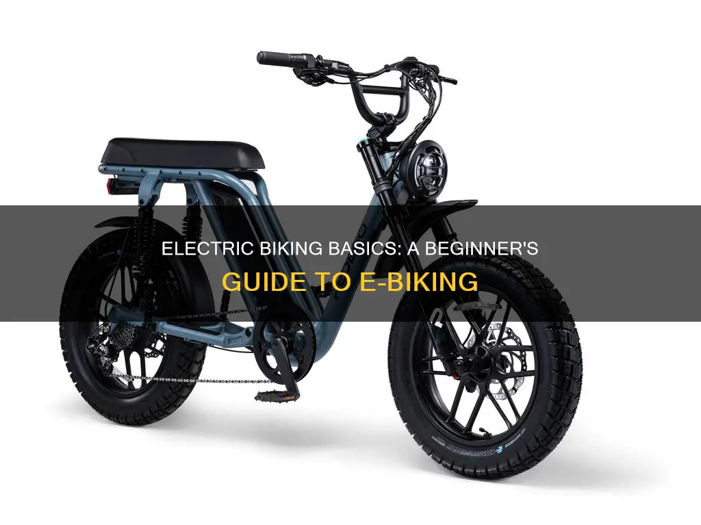 how to electric bike