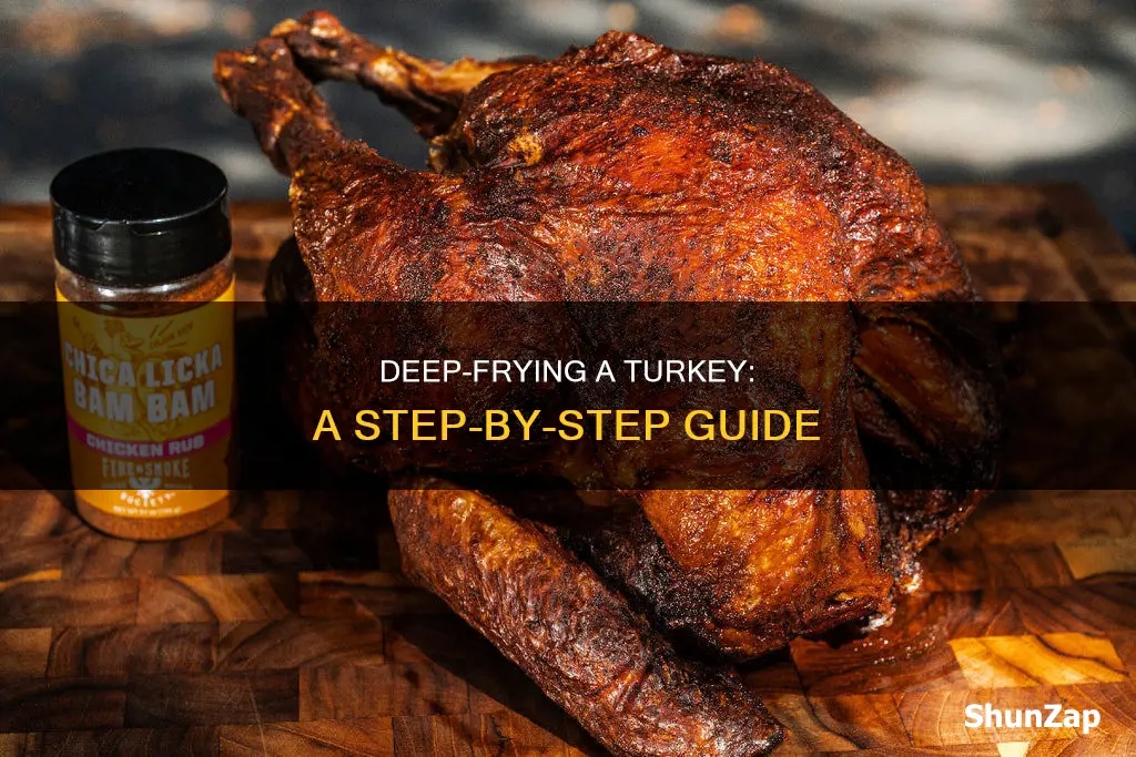 how to electric deep fry a turkey