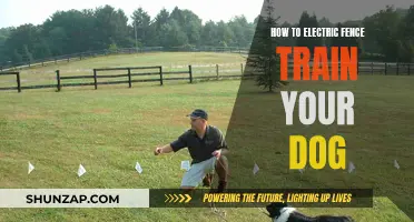 Electric Fence Training: Keeping Your Dog Safe and Secure