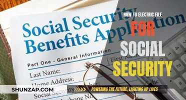 Filing for Social Security: An Electric Guide