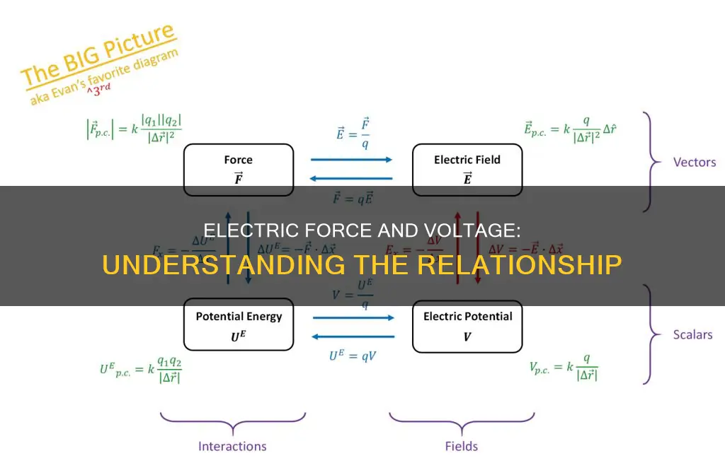 how to electric force relate to voltage