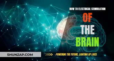 Electrical Brain Stimulation: A Guide to Electrotherapy