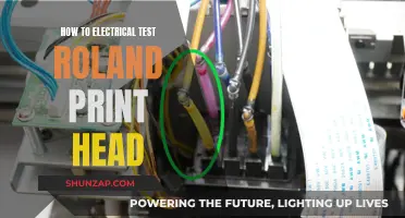 Electrical Testing of Roland Print Head: Step-by-Step Guide