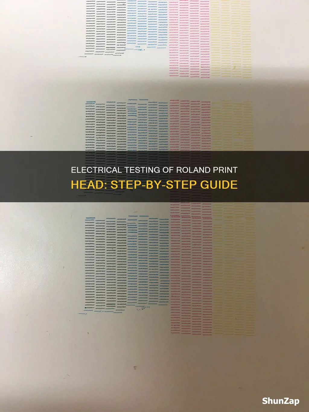how to electrical test roland print head