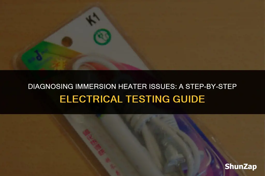 how to electrically test an immersion heater