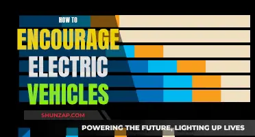 Green Revolution: Strategies to Boost Electric Vehicle Adoption