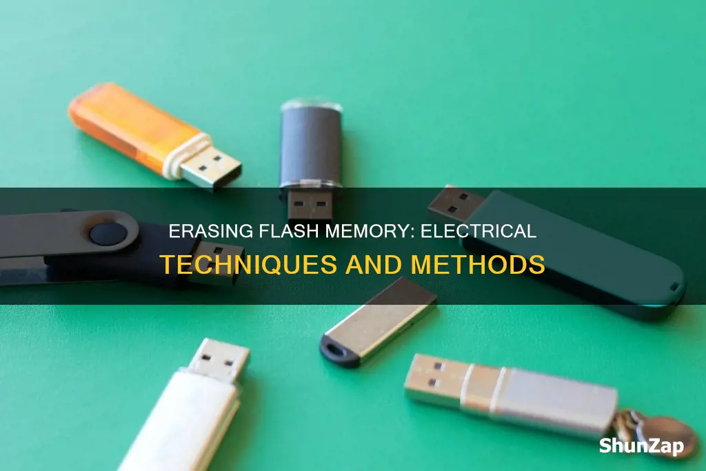 how to erase a flash memory electrically