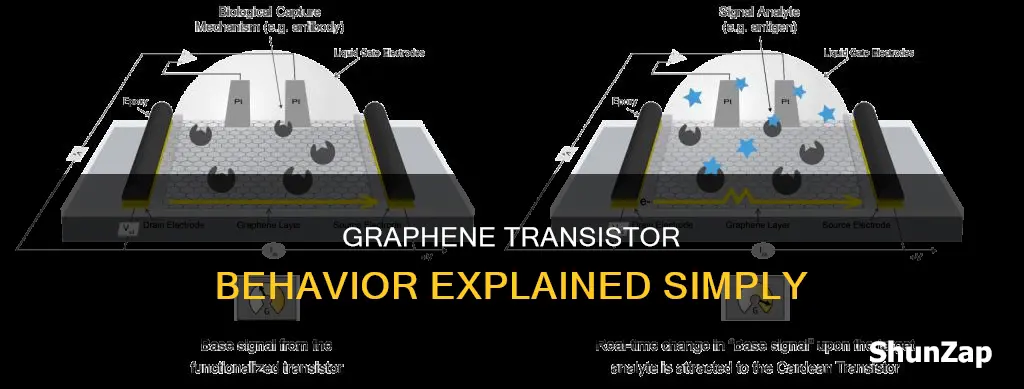 how to explain graphene transistor electrical behavior