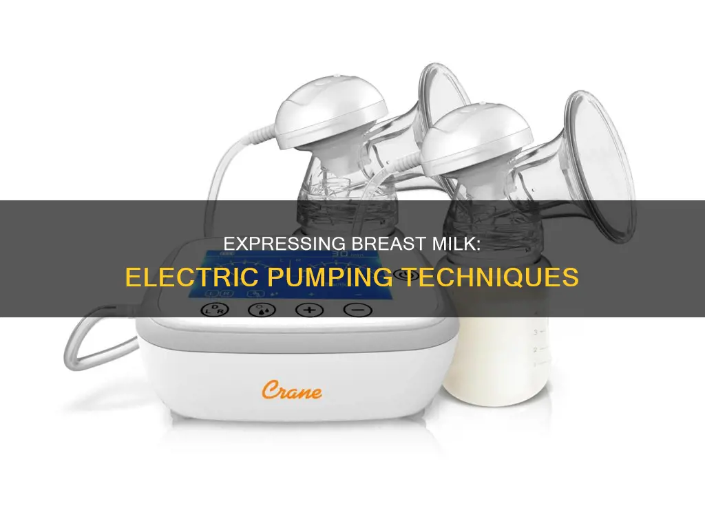 how to express breast milk electric pump