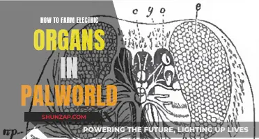 Farming Electric Organs in Palworld: A Step-by-Step Guide