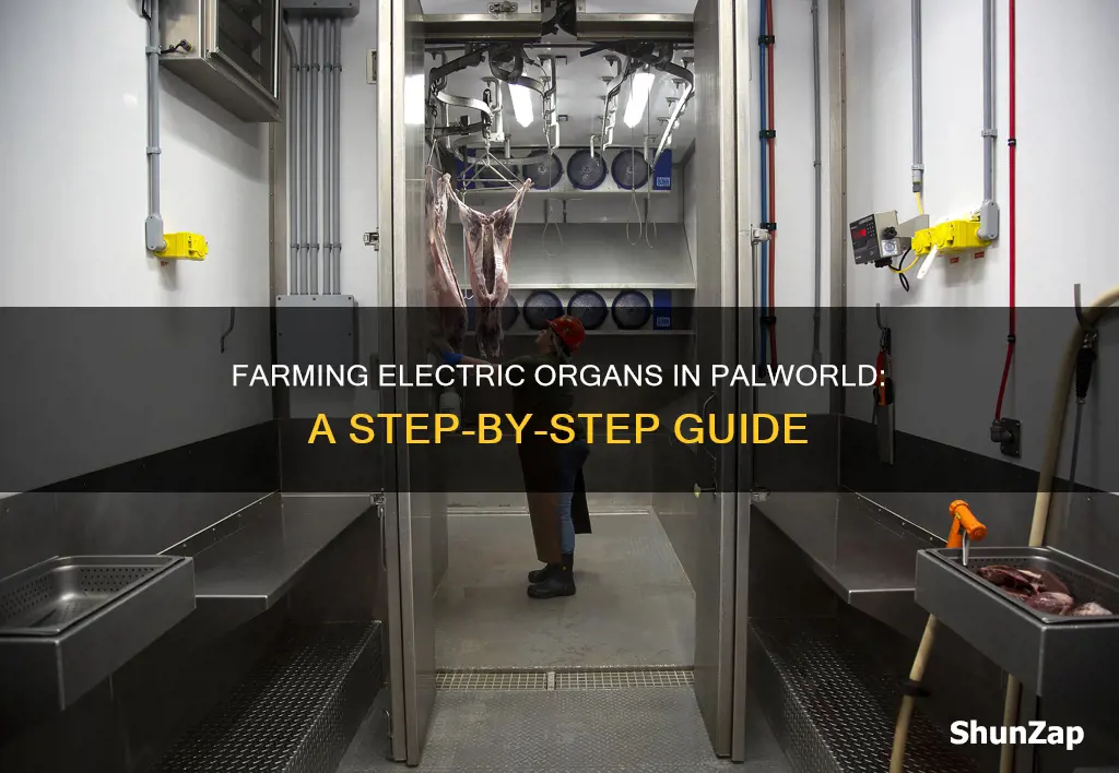 how to farm electric organs in palworld